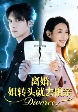 离婚,姐转头就去相亲海报