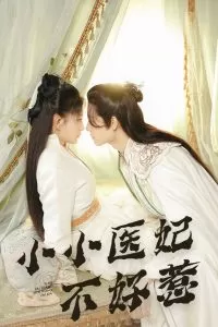 小小医妃不好惹海报