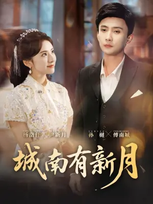 城南有新月海报