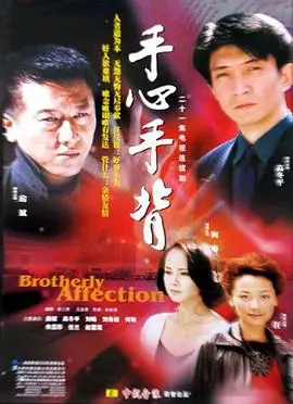 手心手背海报