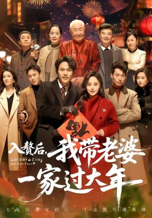 入赘后,我带老婆一家过大年海报