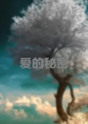 爱的秘密海报