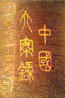 中国大案录海报
