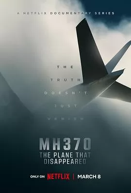 MH370:消失的航班海报