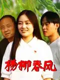 杨柳春风海报