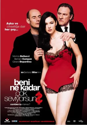 爱我多深[影视解说]海报