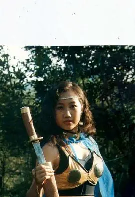 金粉红蝴蝶海报