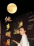 他乡明月海报