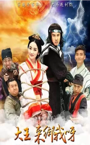 大王来绑我海报