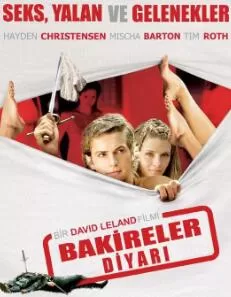 天使与处女海报