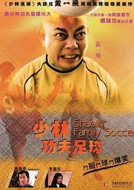 功夫老爸海报