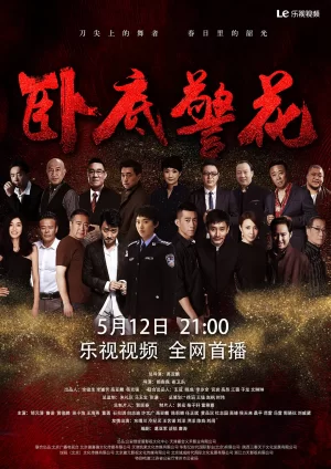 卧底警花[电影解说]海报