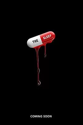 睡眠之夜海报