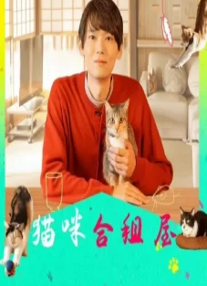 猫咪合租屋海报