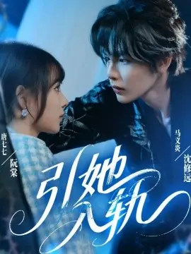 引她入轨海报