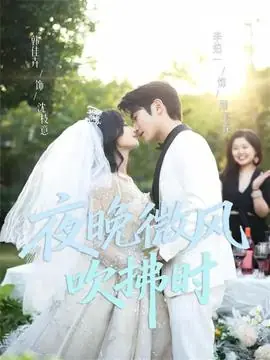 夜晚微风吹拂时海报