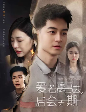 爱若离去海报