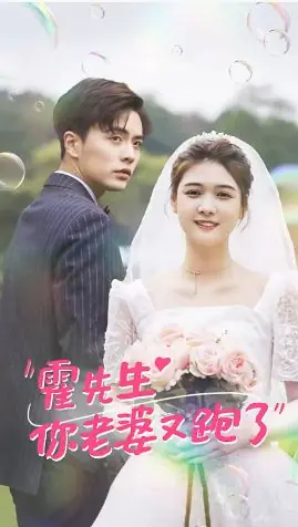 霍先生你老婆又跑了海报