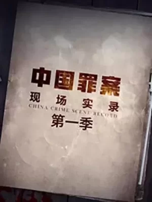 罪案现场实录海报
