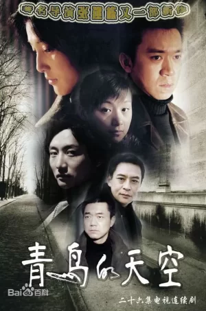青鸟的天空海报
