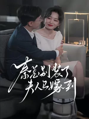 秦总别装了,夫人已嫁到!海报