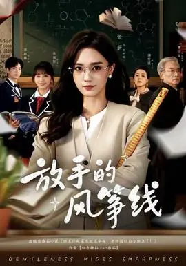 放手的风筝线海报