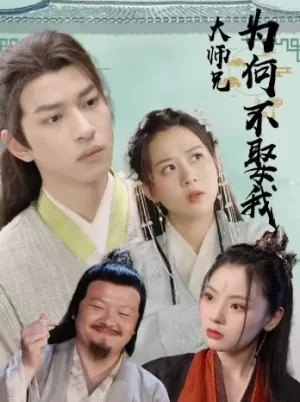 大师兄为何不娶我海报