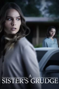 姐妹的恩怨海报