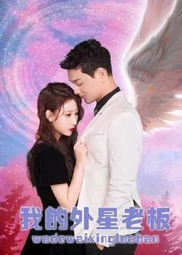 我的外星老板海报
