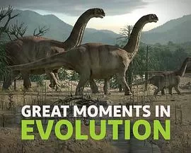 生命进化大事记海报