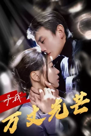 予我万丈光芒海报