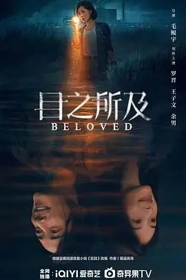目之所及海报
