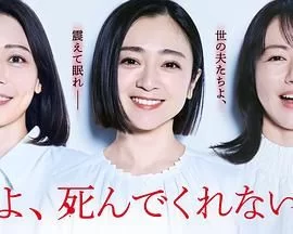 老公啊,你能去死吗海报