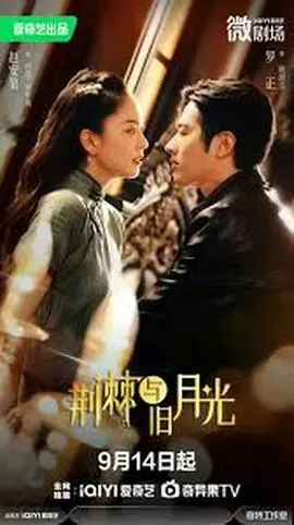 荆棘与月光海报