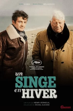 冬天的猴子海报