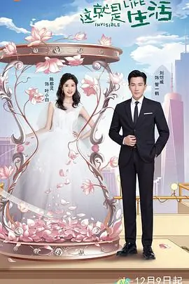 这就是生活[DVD版]海报