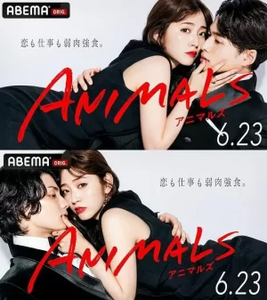 ANIMALS‐アニマルズ‐海报