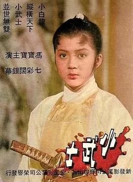 小武士海报