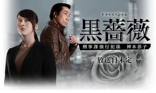 黑蔷薇:刑事课强行犯系神木恭子海报