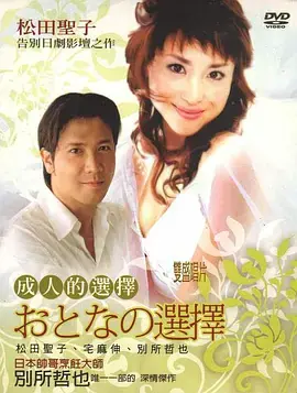 成人的选择海报