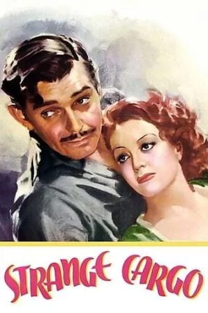 奇异的货物海报