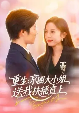 重生:京圈大小姐送我扶摇直海报