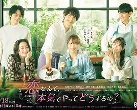 恋爱何必动真心海报