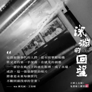 深渊的回望海报