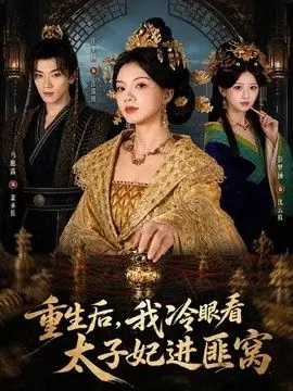 重生后,我冷眼看太子妃进匪窝海报