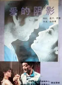 爱的阴影海报