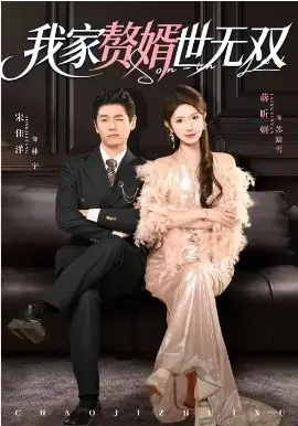 我家赘婿世无双海报