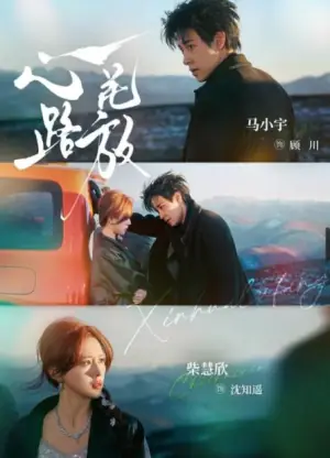 心花路放(短剧)海报