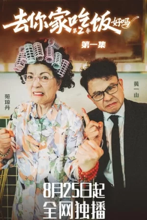去你家吃饭好吗第二季海报