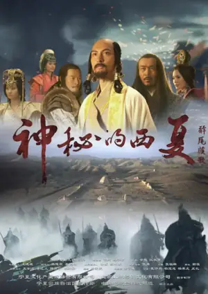 神秘的西夏海报